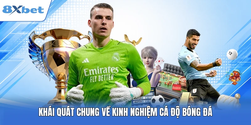 Khái quát chung về kinh nghiệm cá độ bóng đá